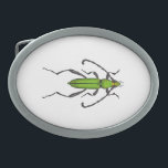 Hebilla De Cinturón Oval Aceite verde<br><div class="desc">Ilustracion vector de escarabajo verde dibujado a mano</div>