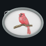 Hebilla De Cinturón Oval acuarela de ave cardinal<br><div class="desc">ilustracion de un pájaro cardenal sobre una rama pintada con acuarelas,  se puede ver el proceso de pintura aquí: http://bit.ly/2zCeRZe</div>