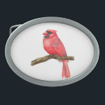 Hebilla De Cinturón Oval acuarela de ave cardinal<br><div class="desc">ilustracion de un pájaro cardenal sobre una rama pintada con acuarelas,  se puede ver el proceso de pintura aquí: http://bit.ly/2zCeRZe</div>