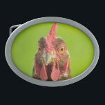 Hebilla De Cinturón Oval Animal del campo divertido de pollo<br><div class="desc">Foto divertida del retrato de un pollo contra un fondo verde.</div>