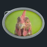 Hebilla De Cinturón Oval Animal del campo divertido de pollo<br><div class="desc">Foto divertida del retrato de un pollo contra un fondo verde.</div>