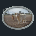 Hebilla De Cinturón Oval Ganado vacuno suelto: Heredero de trigo de vacas d<br><div class="desc">Esta malvada vaca Highland se comió las plántulas de pie en un arrozal ahora estéril</div>