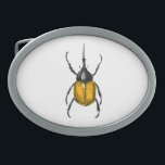 Hebilla De Cinturón Oval Hércules<br><div class="desc">Ilustracion vector de escarabajo de Hércules</div>