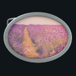 Hebilla De Cinturón Oval Lavander<br><div class="desc">Lavander</div>