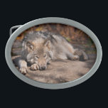 Hebilla De Cinturón Oval Timber Wolf<br><div class="desc">Muchas personas tienen fascinación por los lobos. Con este artículo estoy compartiendo mi amor por estos increíbles animales.</div>