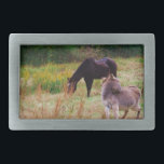 Hebilla De Cinturón Rectangular Burro y caballo en un campo de otoño.<br><div class="desc">Burro y caballo en un campo de otoño. Foto de Sandy Closs. Burro otoño,  otoño,  granja "animales de granja" burros,  burro,  "burro lindo",  mula,  burro</div>