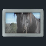 Hebilla De Cinturón Rectangular Caballo de Borrador Negro rescatado<br><div class="desc">Rescatado Black Draft Horse Photo de Sandy Closs Personalizar con tu propio nombre o texto para crear un regalo de primera. "Hombres de caballo" "regalo de caballo", "regalo de caballos", "regalos para los amantes de los caballos", "amo a los caballos", "caballo pardo", caballo, "caballos", "regalos de caballo""animales de granja ",...</div>
