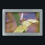Hebilla De Cinturón Rectangular Flora de dragón en hojas de roca de lluvia<br><div class="desc">Dragonfly sobre la hoja de raindros Verde azulado y morado Dragonfly arcoiris Dragonfly Blue Dragonfly sobre una flor morada. dragón,  mosca,  moscas,  libélulas,  libélulas,  volar,  dragones,  insectos,  insectos,  jardín,  naturaleza,  crecimiento,  plantas,  libélulas y damselflies,  serenidad,  diversión,  verano,  alegría,  verde</div>