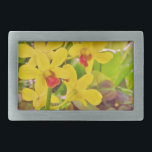 Hebilla De Cinturón Rectangular Hermosas orquídeas amarillas de otoño<br><div class="desc">Hermosas orquídeas amarillas adorables flores florecientes de orquídea amarilla. Foto de Sandy Closs Great para todas las temporadas de verano invierno y otoño. tropical,  moderna,  otoño,  flor,  flores,  floral,  primavera,  orquídea,  jardín,  boda,  bodas, </div>