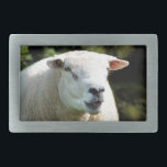 HEBILLA DE CINTURÓN RECTANGULAR RAM<br><div class="desc">Otra oveja de diseño fotográfico esta vez de un hermoso carnero.</div>