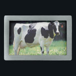 Hebilla De Cinturón Rectangular Vaca lechera Wisconsin<br><div class="desc">El animal doméstico de Wisconsin es la vaca lechera.</div>