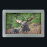 Hebilla del cinturón de seguridad de Moose<br><div class="desc">Magnífica foto de un majestuoso alce reclinándose en un campo de flores silvestres. Foto de Shivam Kumar.</div>