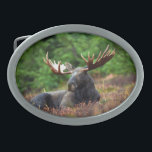 Hebilla del cinturón de seguridad de Moose<br><div class="desc">Magnífica foto de un majestuoso alce reclinándose en un campo de flores silvestres. Foto de Shivam Kumar.</div>
