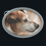 HEBILLA OVALADA JACK RUSSELL TERRIER DOG<br><div class="desc">Un hermoso y muy lindo perro Jack Russell Terrier.</div>