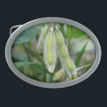 Hebilla Ovalada Planta de soja que cultiva el país rural<br><div class="desc">Hebilla del cinturón de la soja</div>