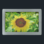 Hebilla Rectangular Abeja en el girasol amarillo<br><div class="desc">Campo de girasoles. Foto tomada por el artista Sandy Closs. Otoño y otoño de un campo soleado de girasoles amarillos y dorados. Personaliza con tu propio texto. Otoño,  girasol,  verano,  amarillo,  dorado,  otoño,  flor de la naturaleza flor jardín país</div>