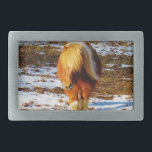 Hebilla Rectangular Caballo en miniatura de color marrón y crema en la<br><div class="desc">Caballo en miniatura de color marrón y crema en la nieve. Foto de Sandy Closs. Pony ,  Ponies,  caballos en miniatura,  equino,  ecuestre,  vaquero,  vaquero,  campestre oeste,  rústica américa,  animal de granja</div>