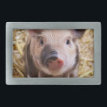 Hebilla Rectangular Cochinillo<br><div class="desc">añada el texto o cargue su propia imagen</div>