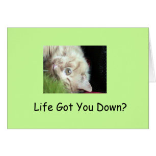 Hechos peludos grasos