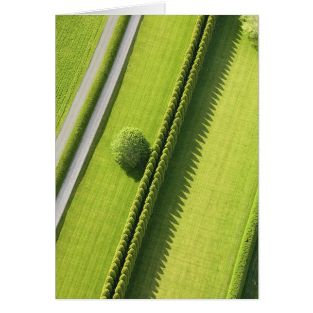 Hedge en los Hamptons (Frente)