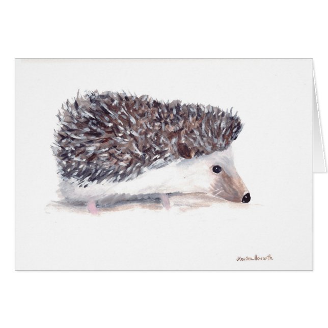 Hedgehog animales silvestres fauna silvestre acuar (Anverso (Horizontal))