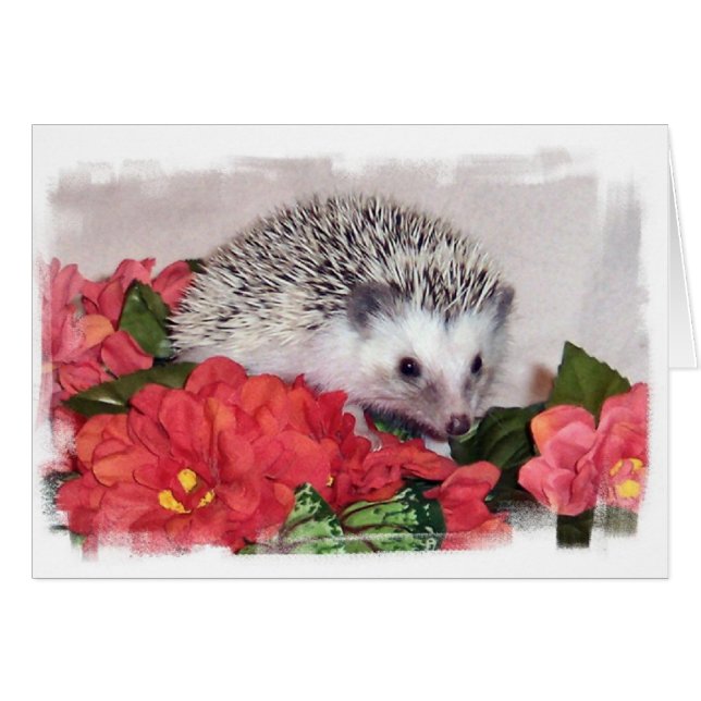 Hedgehog Con Flores Naranjas (Anverso (Horizontal))