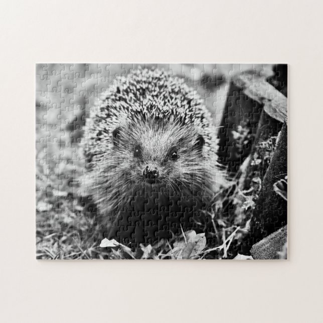 Hedgehog en blanco y negro, rompecabezas (Horizontal)