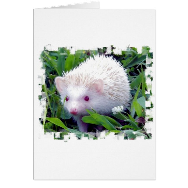 Hedgehog en la hierba (Frente)