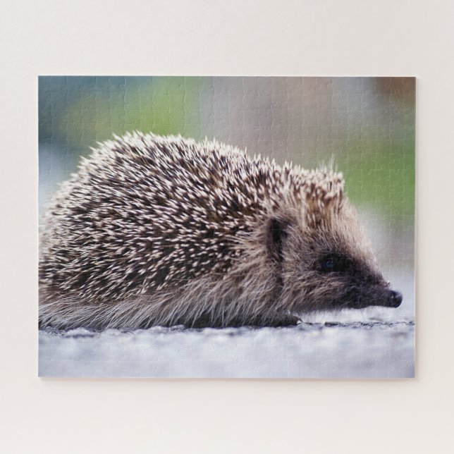 Hedgehog en la Naturaleza, rompecabezas (Horizontal)