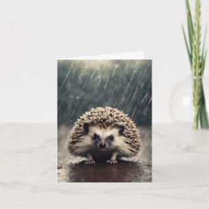 Hedgehog En Lluvia