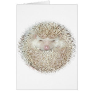 Hedgehog en una bola
