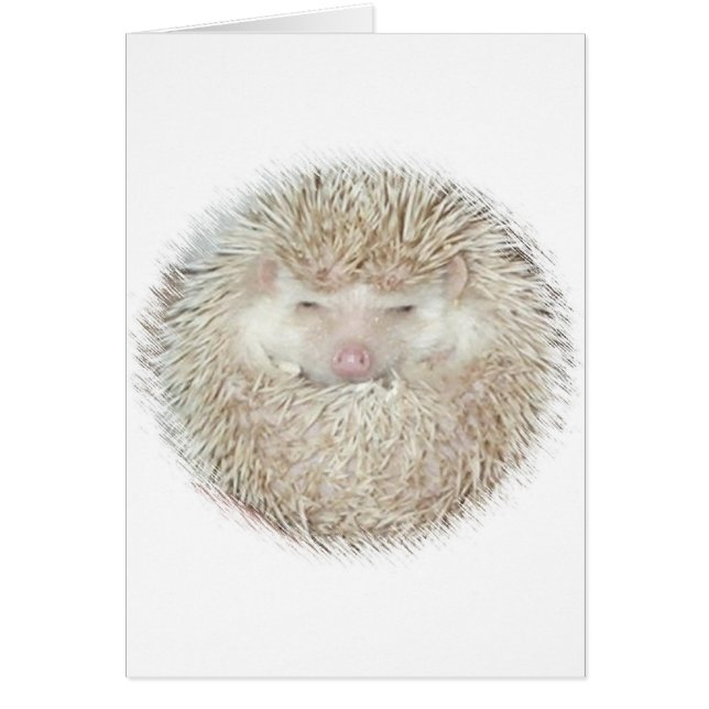 Hedgehog en una bola (Frente)