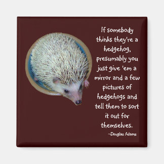 Hedgehog o imán de la persona