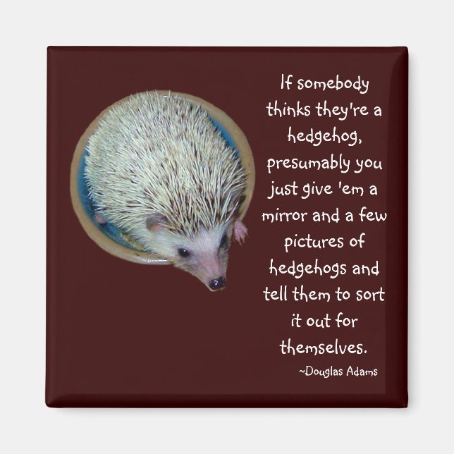 Hedgehog o imán de la persona (Frente)