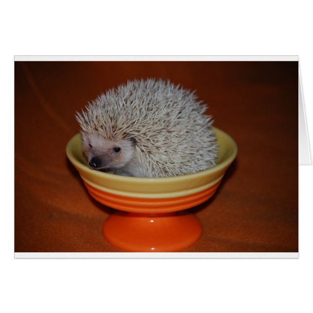 Hedgehog Sundae (Anverso (Horizontal))