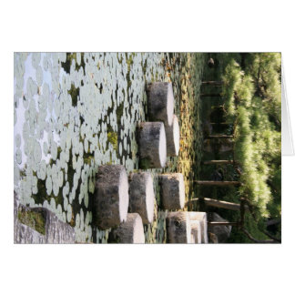 Heian Gardens Pond y Walk in Kyoto