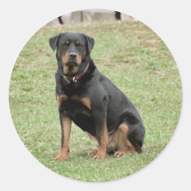 Heidi Pegatina (Anverso)