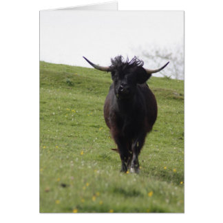 Heilan Coo corriendo