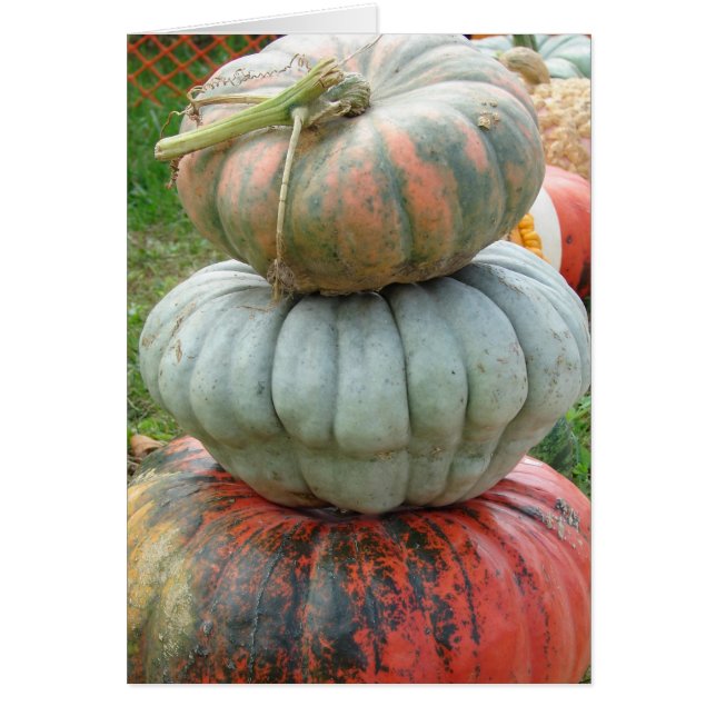 Heirloom Pumpkin Stack (Frente)