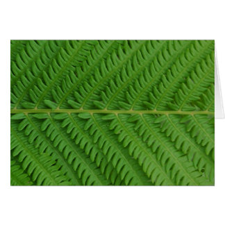 Helecho verde