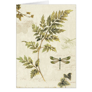 Helechos decorativos y una libélula