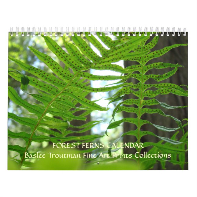 HELECHOS DEL CALENDARIO Bosque de secoya roja Hele (Tapa)