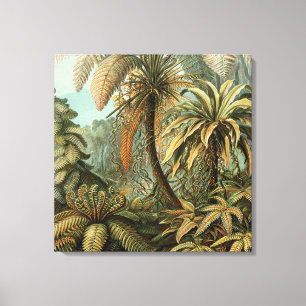 Helechos Palma Árbol Antiguo Arte Botánico Helecho