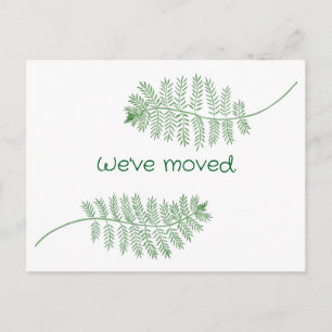 Helechos verdes en Tarjetas Postales personalizada