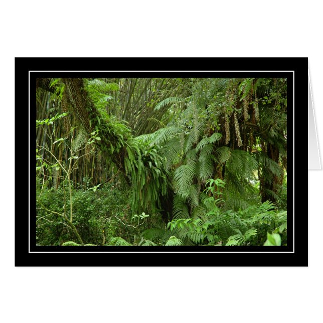 Helechos verdes y tarjeta en blanco de las (Anverso (Horizontal))
