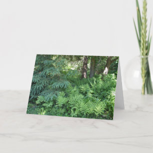 Helechos y árboles en tarjeta Luz del sol-En