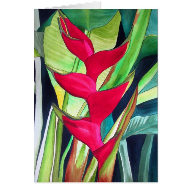 Heliconia Lobster Claw flor de acuarcolía tropical (Frente)