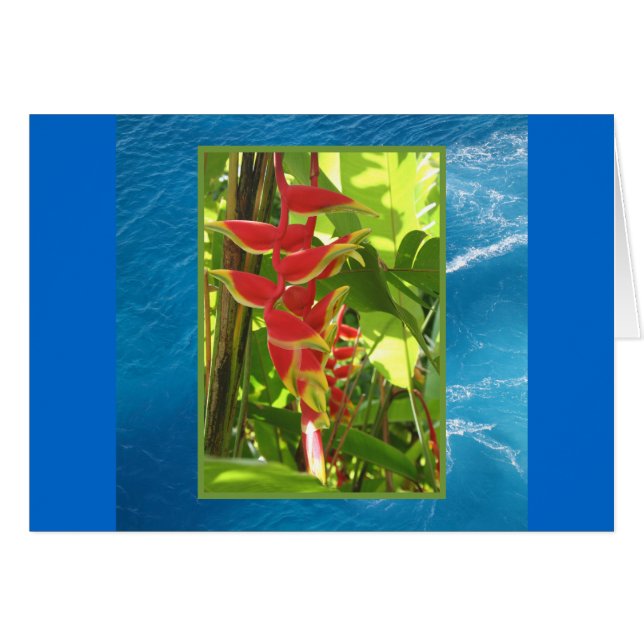 Heliconia rostrata (Anverso (Horizontal))