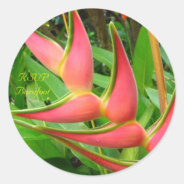 Heliconia RSVP Sellos para sobres Bodas tropicales (Anverso)