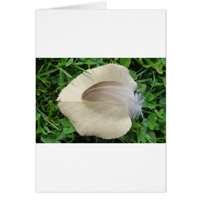 Hellbraune Feder auf hellbeigem Blatt (Frente)